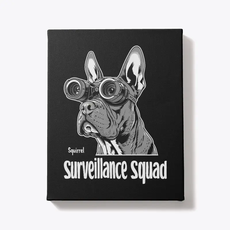 SSS - Squirrel Surveillance Squad